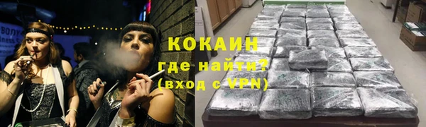 ешки Арсеньев