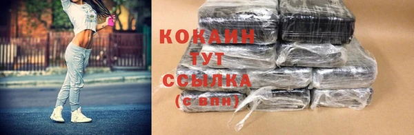 ешки Арсеньев