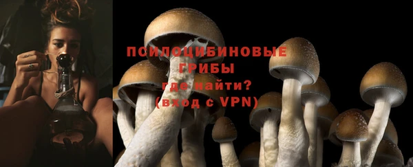 ешки Армянск