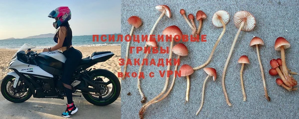 ешки Арсеньев