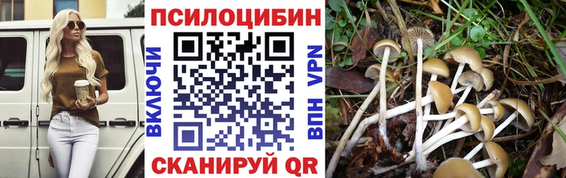 darknet телеграм  Сретенск  Псилоцибиновые грибы Psilocybine cubensis 